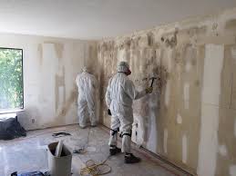 Best Attic Mold Removal in Frontenac, MO